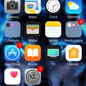 Meet your Posher, Joey